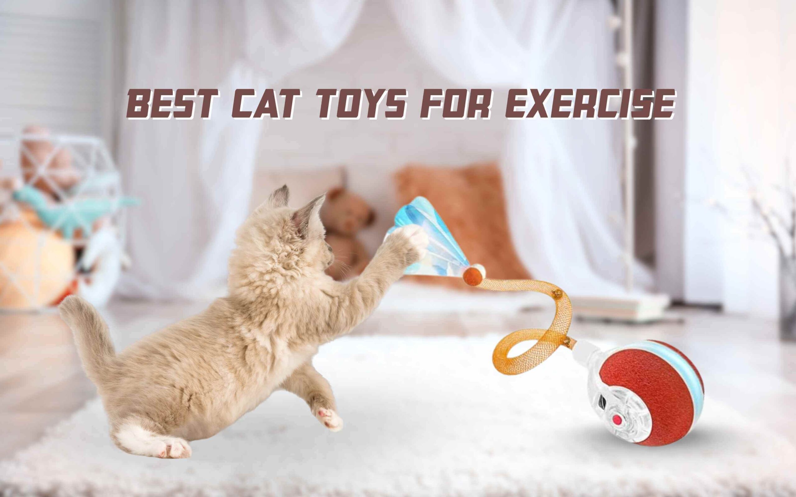 Best Cat Toys for Exercise