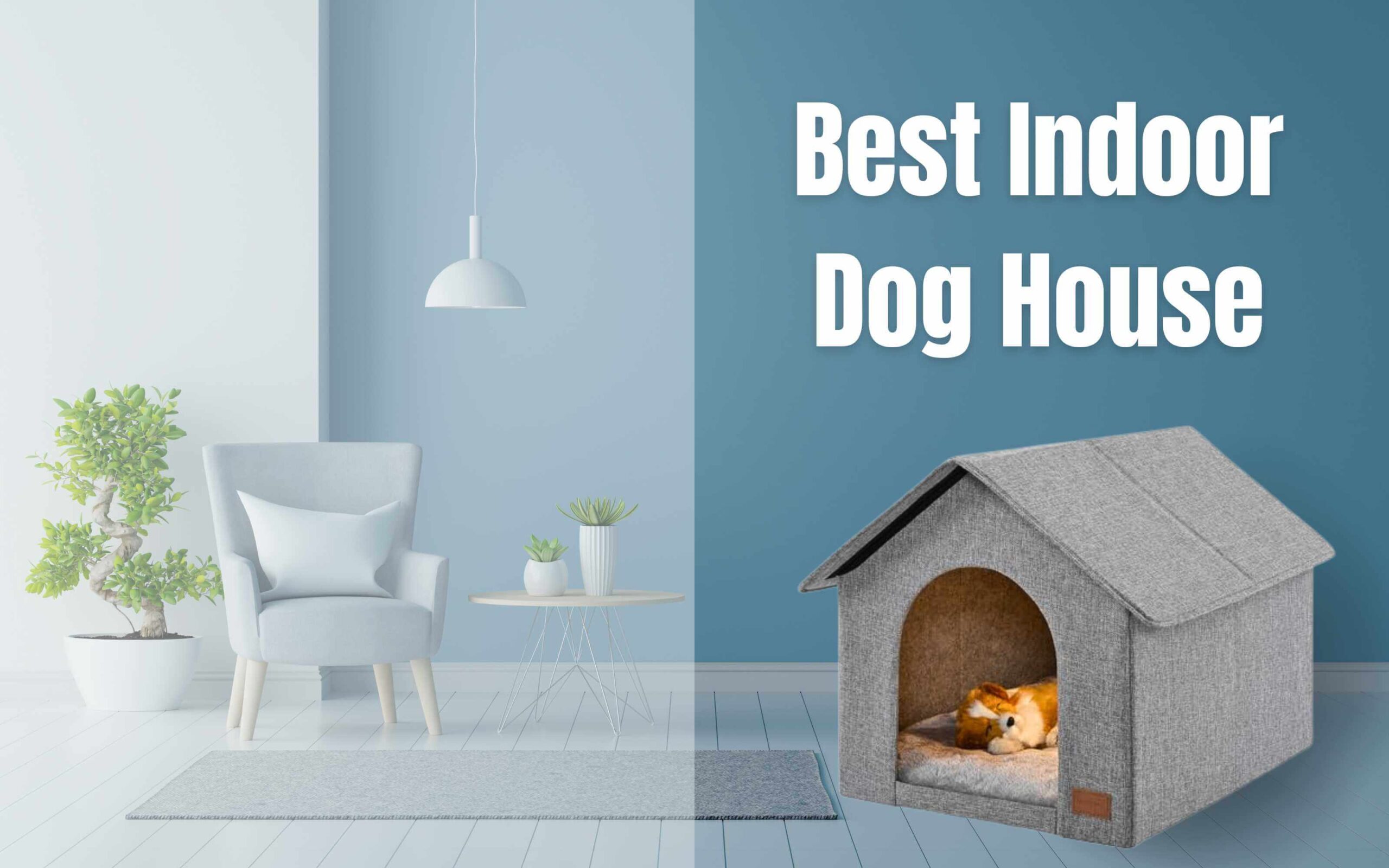 Best Indoor Dog House