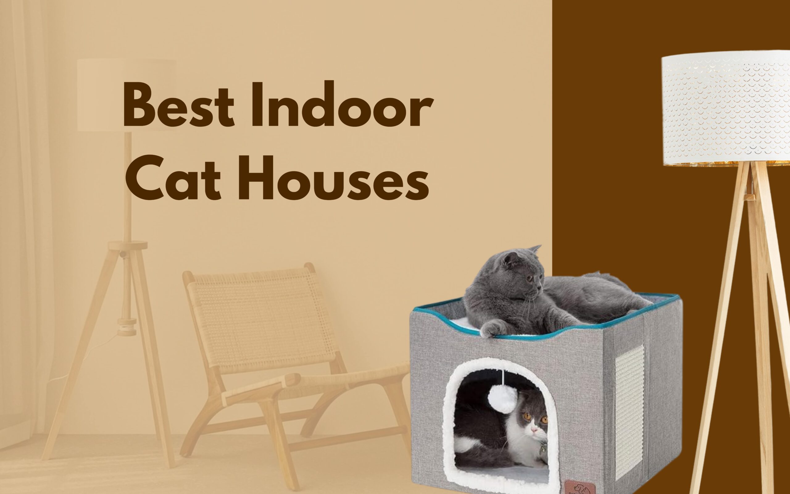 Best Indoor Cat Houses